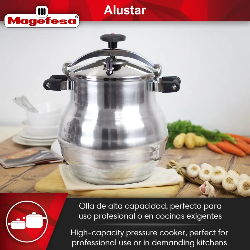 Professional Pressure Cooker