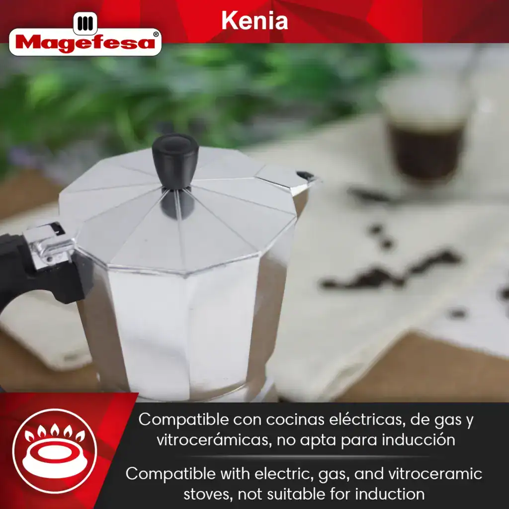 Disassembled Magefesa Kenia espresso maker
