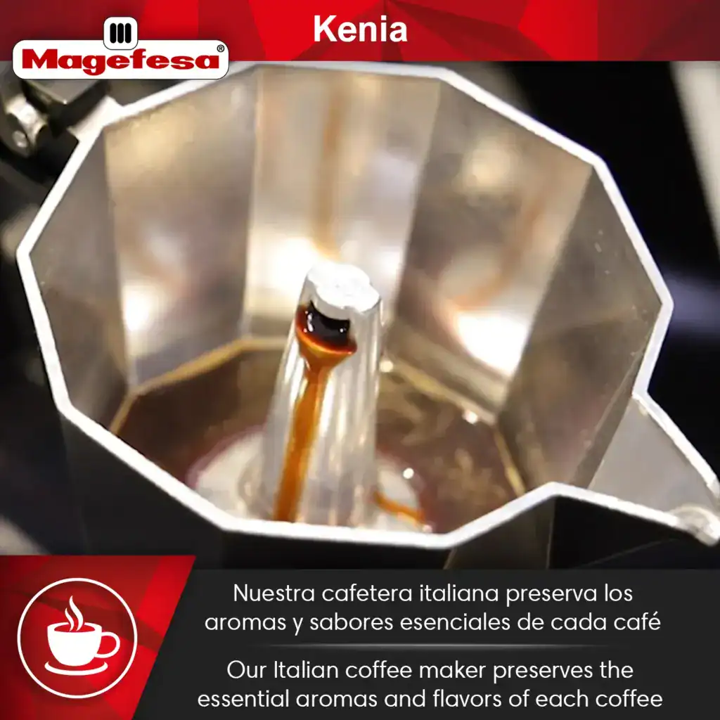 Interior of Kenia 3-cup espresso maker showing aluminum filter and chamber